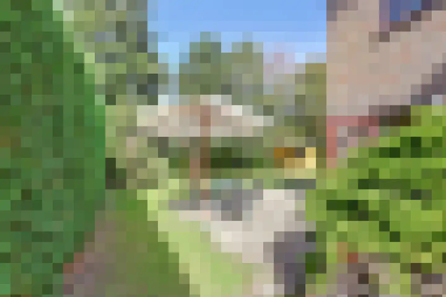 Bosweg 21 Burgh-Haamstede thumbnail 25
