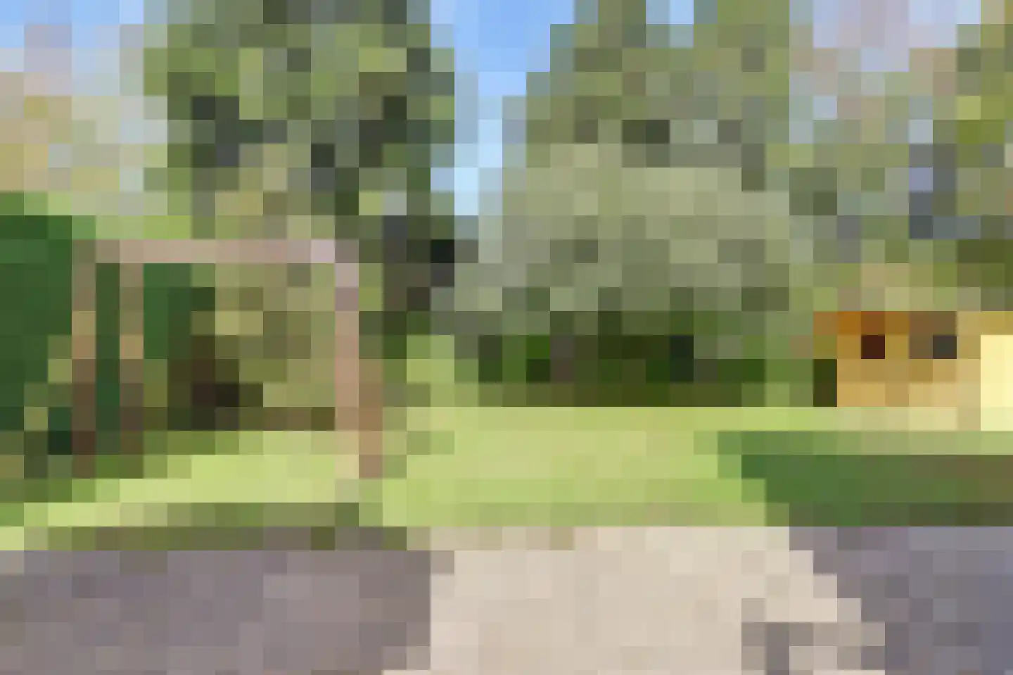 Bosweg 21 Burgh-Haamstede thumbnail 28