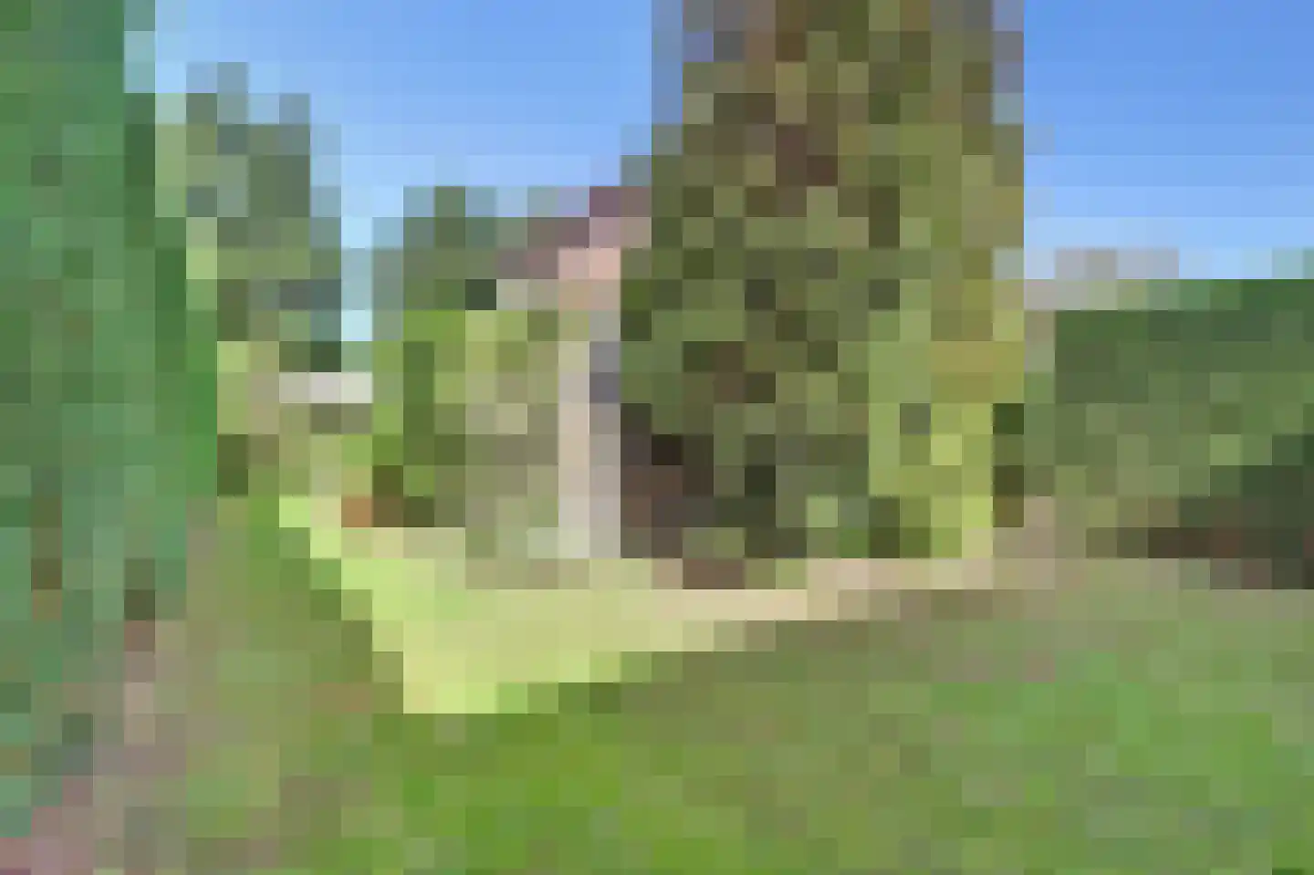 Bosweg 21 Burgh-Haamstede thumbnail 29