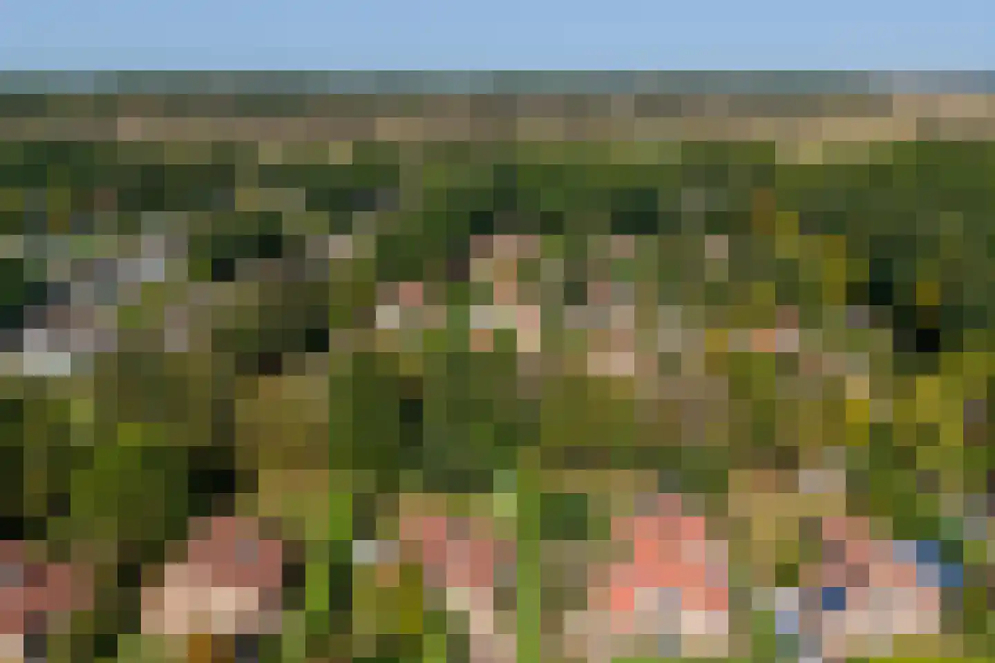 Bosweg 21 Burgh-Haamstede thumbnail 31