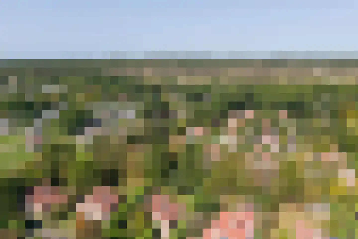 Bosweg 21 Burgh-Haamstede thumbnail 32