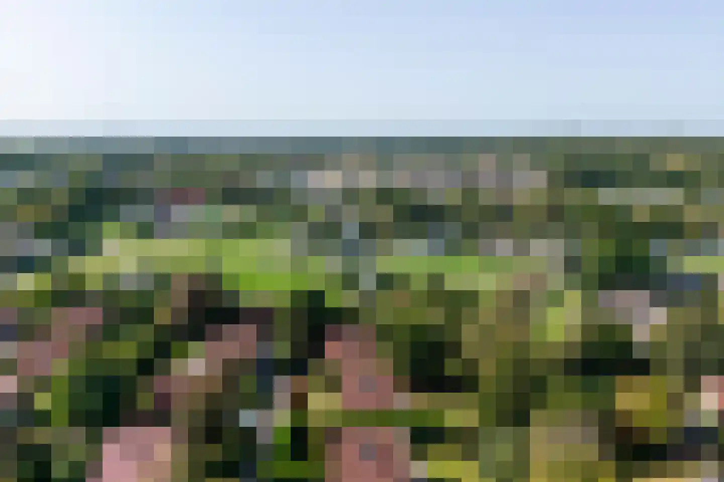 Bosweg 21 Burgh-Haamstede thumbnail 33