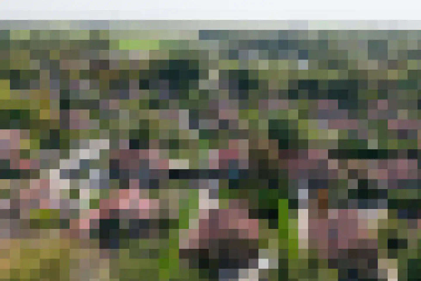 Bosweg 21 Burgh-Haamstede thumbnail 34
