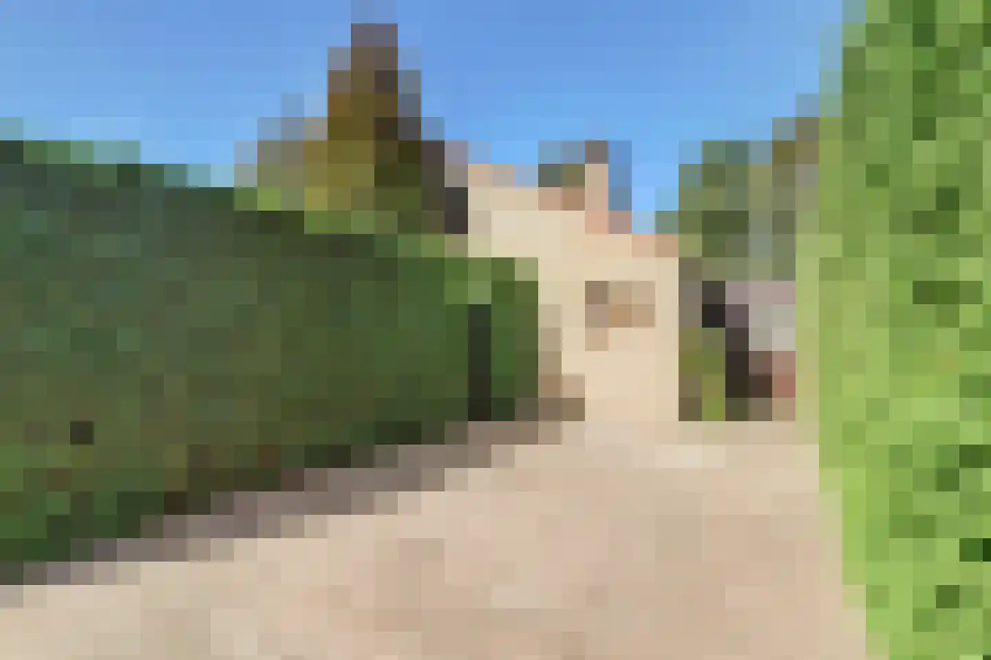 Bosweg 21 Burgh-Haamstede thumbnail 4