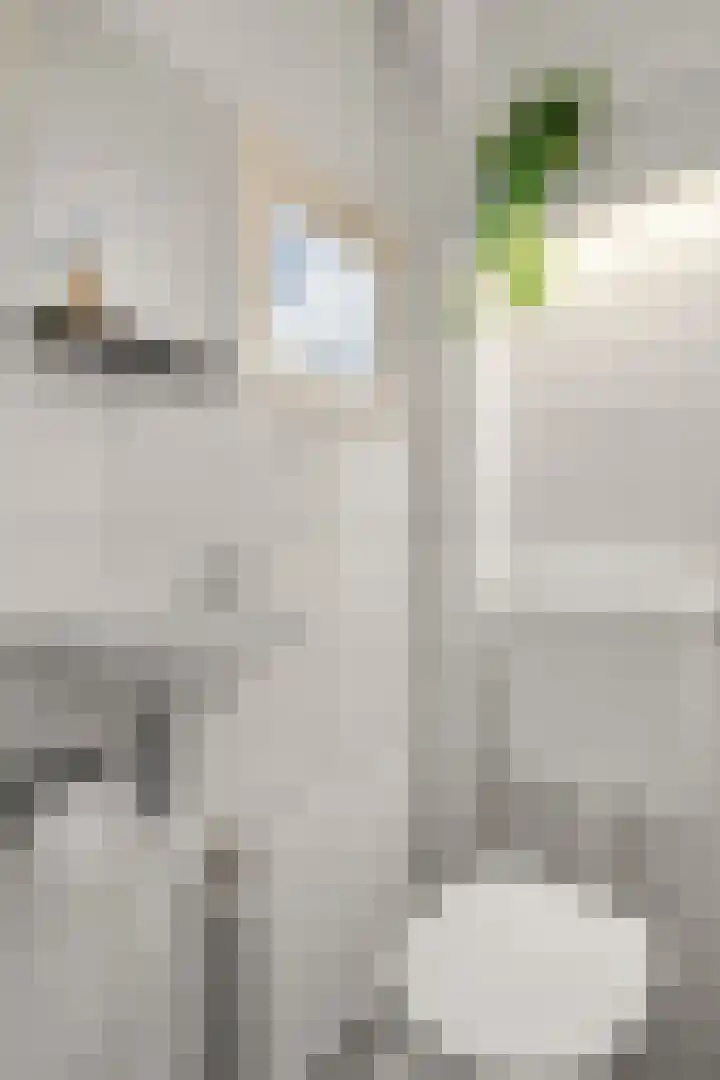 Bosweg 23 Bennekom thumbnail 10
