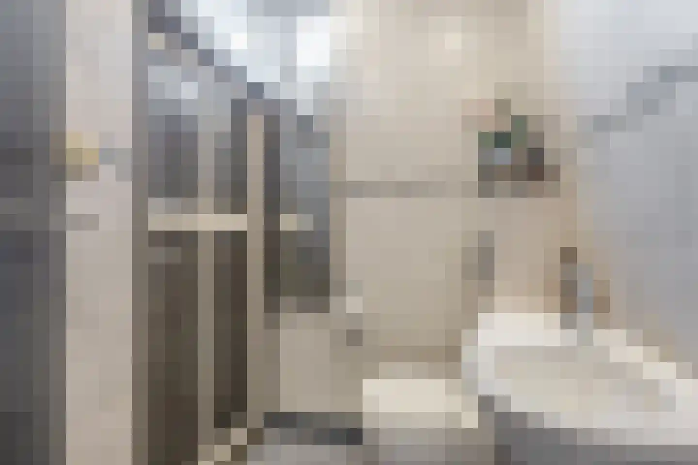 Bosweg 23 Gouda thumbnail 13