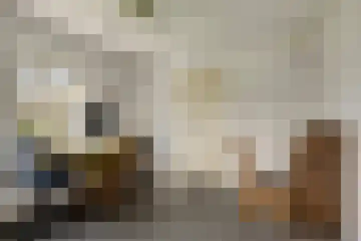 Bosweg 25 Mill thumbnail 11