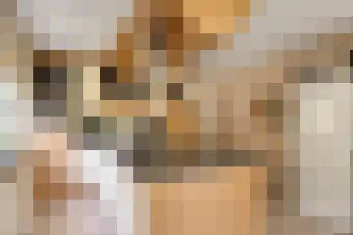 Bosweg 25 Mill thumbnail 18