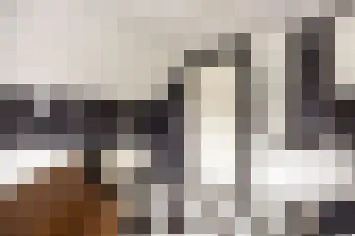 Bosweg 25 Mill thumbnail 26
