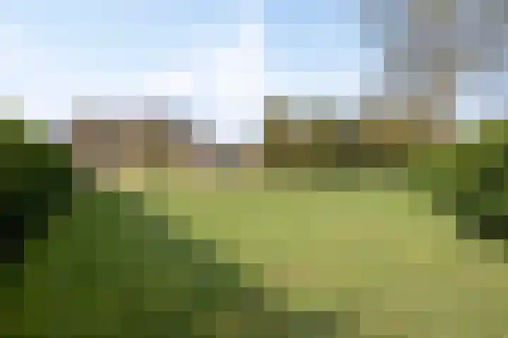 Bosweg 25 Mill thumbnail 32