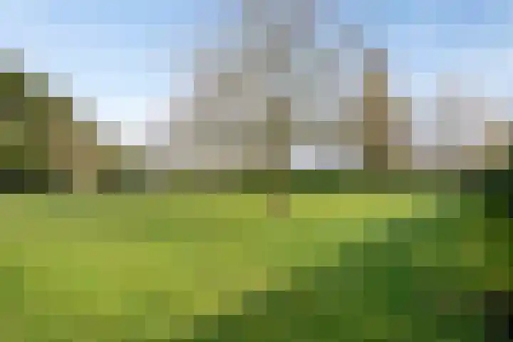 Bosweg 25 Mill thumbnail 4