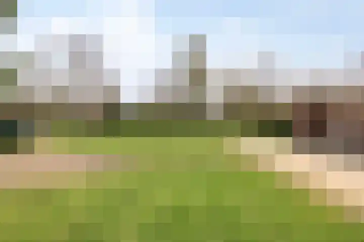 Bosweg 25 Mill thumbnail 43