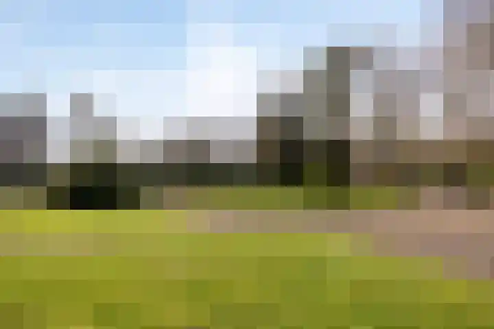 Bosweg 25 Mill thumbnail 49