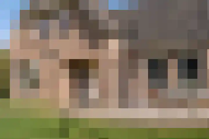 Bosweg 25 Mill thumbnail 6