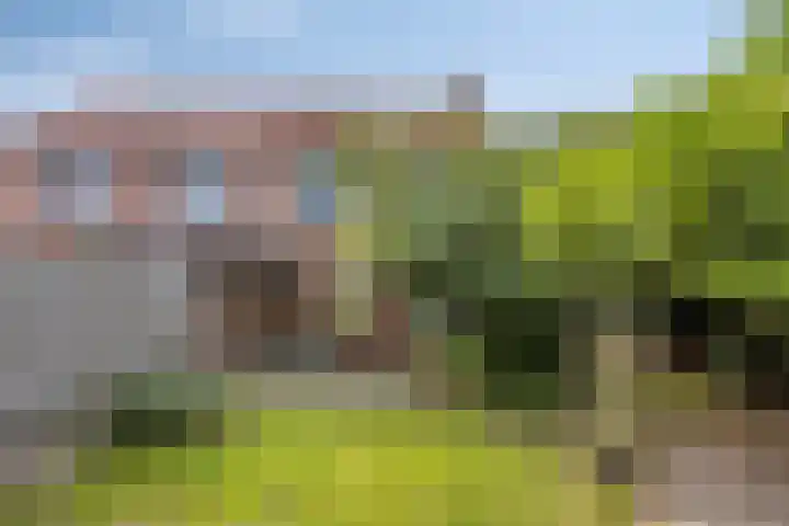 Bosweg 28 Venray thumbnail 37