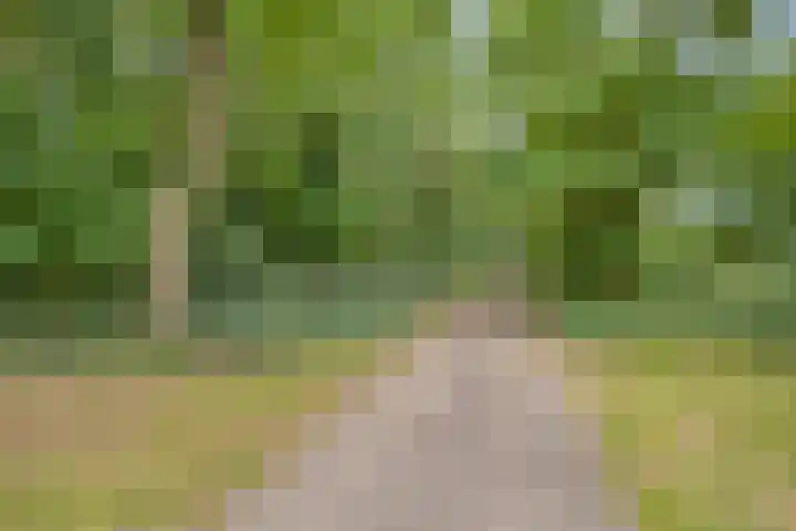 Bosweg 28 Venray thumbnail 40