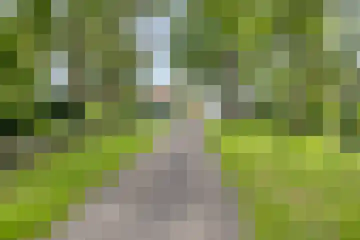 Bosweg 28 Venray thumbnail 41