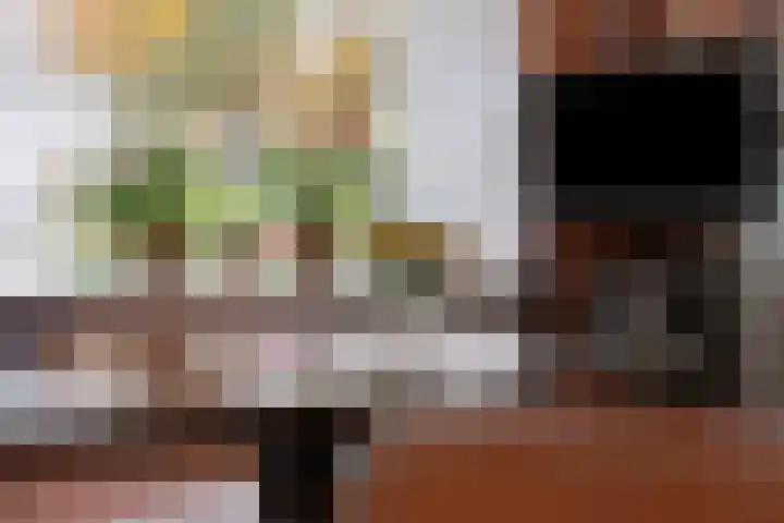Bosweg 29 Hooghalen thumbnail 13