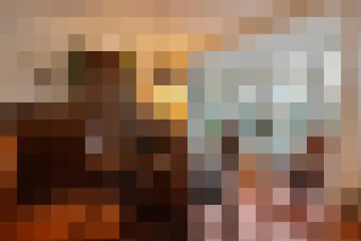Bosweg 29 Hooghalen thumbnail 15
