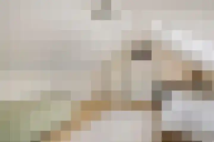 Bosweg 29 Hooghalen thumbnail 30
