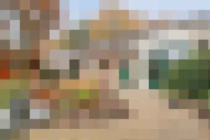 Bosweg 29 Hooghalen thumbnail 31