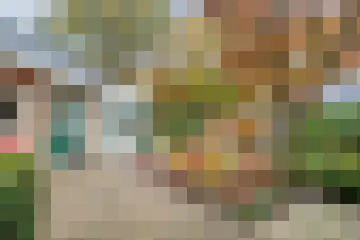 Bosweg 29 Hooghalen thumbnail 32