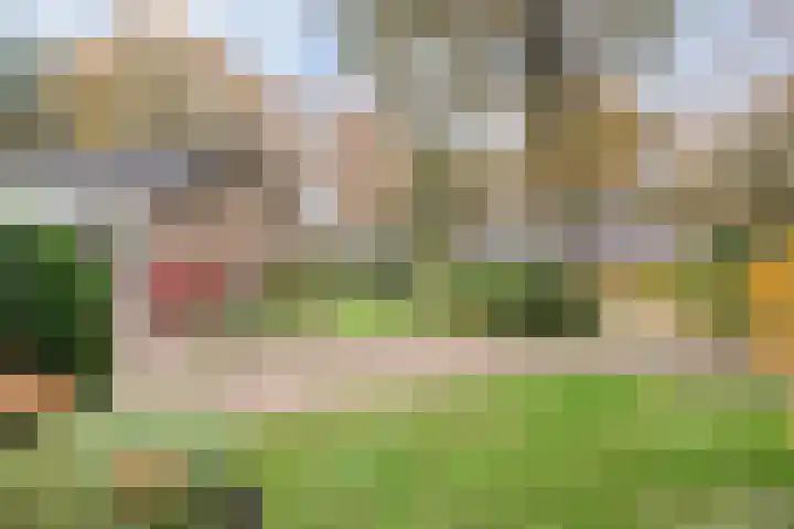 Bosweg 29 Hooghalen thumbnail 34