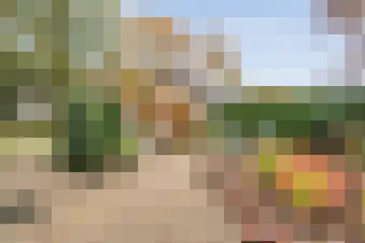 Bosweg 29 Hooghalen thumbnail 35