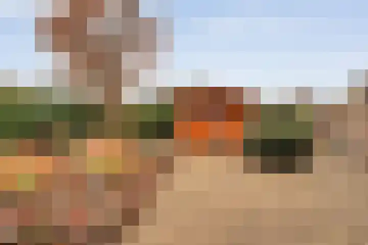 Bosweg 29 Hooghalen thumbnail 36
