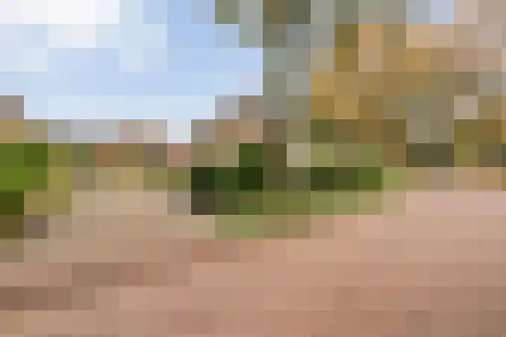 Bosweg 29 Hooghalen thumbnail 38
