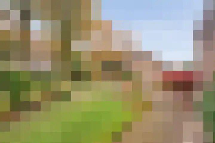 Bosweg 29 Hooghalen thumbnail 39