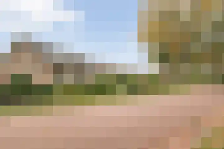 Bosweg 29 Hooghalen thumbnail 4