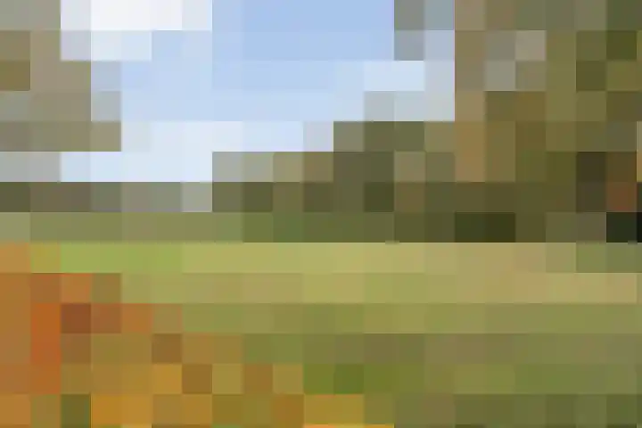 Bosweg 29 Hooghalen thumbnail 40