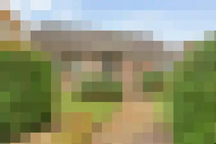 Bosweg 29 Hooghalen thumbnail 5