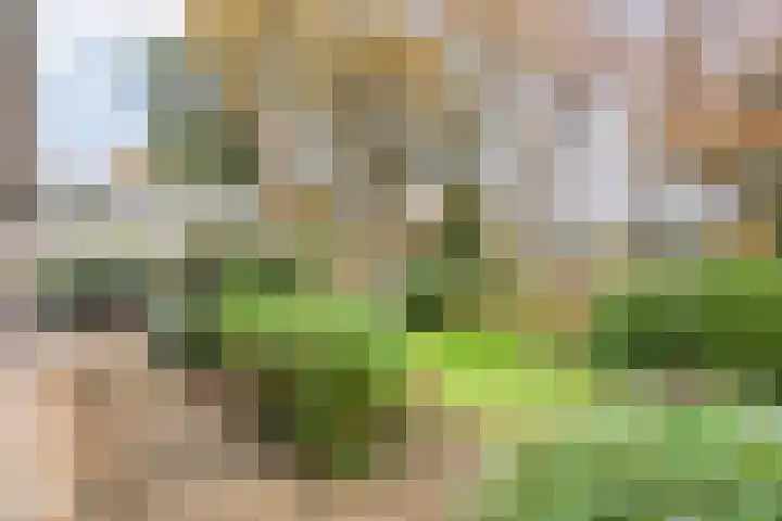Bosweg 29 Hooghalen thumbnail 6