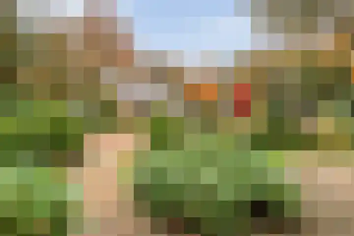 Bosweg 29 Hooghalen thumbnail 7