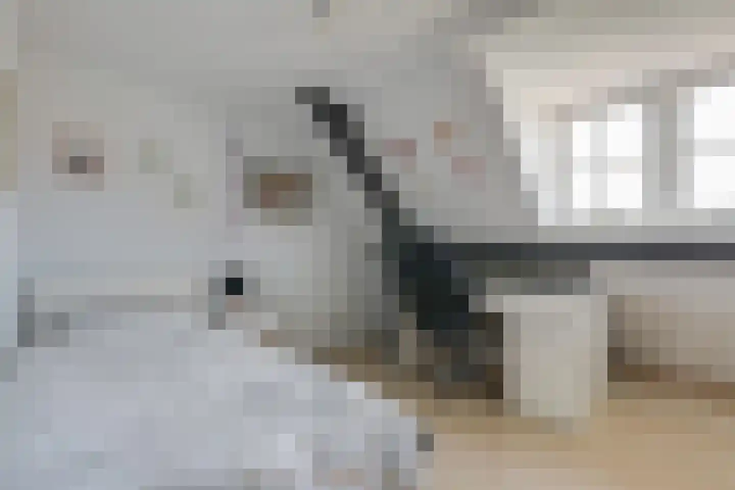 Bosweg 29 Velp thumbnail 33