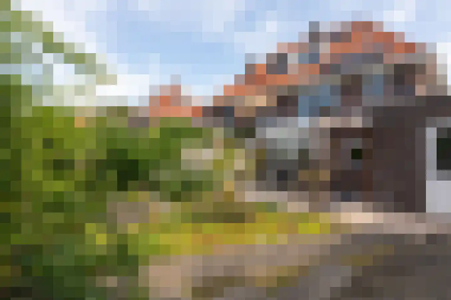 Bosweg 29 Velp thumbnail 41