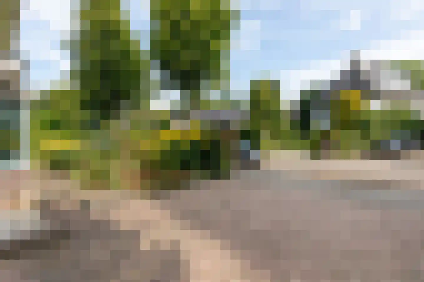 Bosweg 29 Velp thumbnail 44