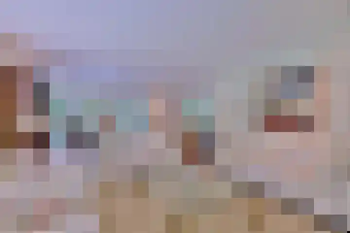 Bosweg 3 Epse thumbnail 13
