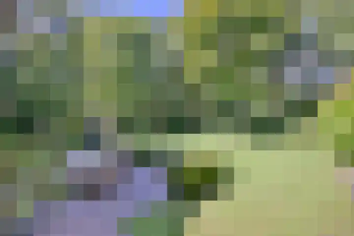 Bosweg 3 Epse foto 2
