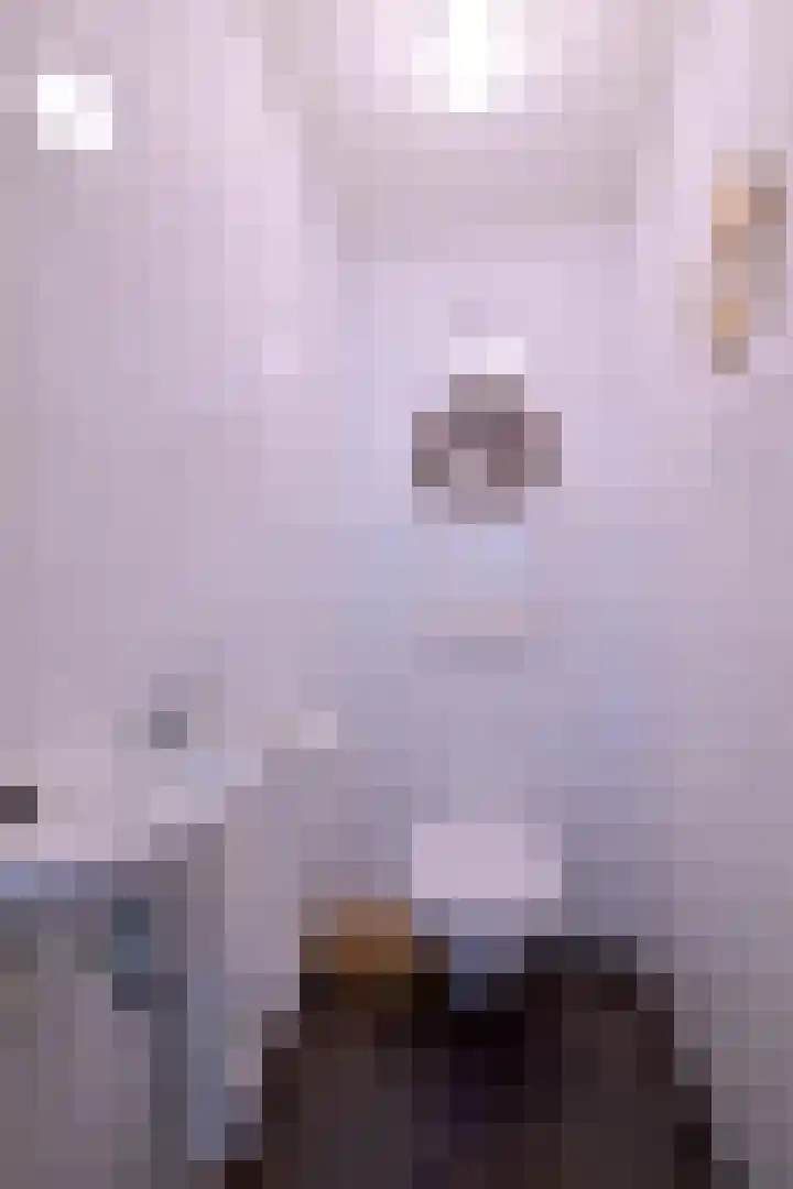 Bosweg 3 Epse thumbnail 21