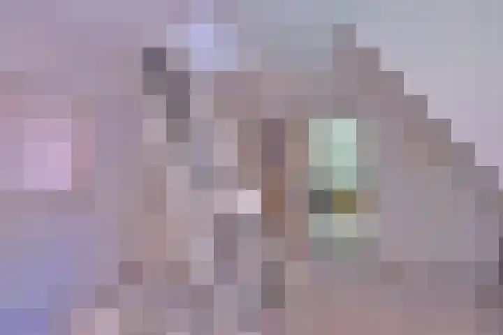 Bosweg 3 Epse thumbnail 25