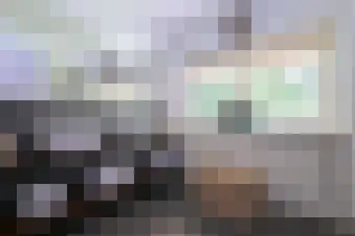 Bosweg 3 Epse thumbnail 27