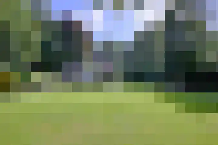 Bosweg 3 Epse foto 3