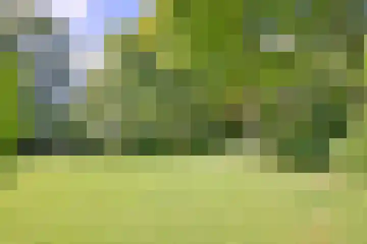 Bosweg 3 Epse thumbnail 35