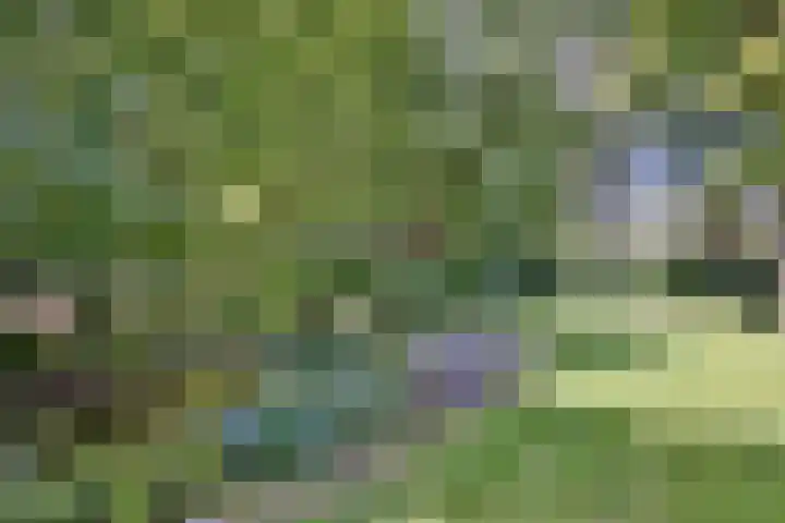 Bosweg 3 Epse thumbnail 36