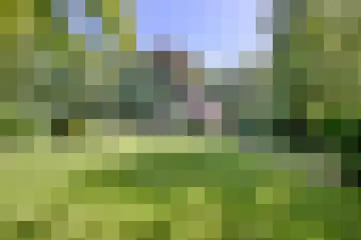 Bosweg 3 Epse thumbnail 37