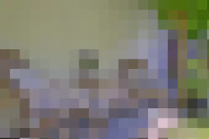 Bosweg 3 Epse thumbnail 38