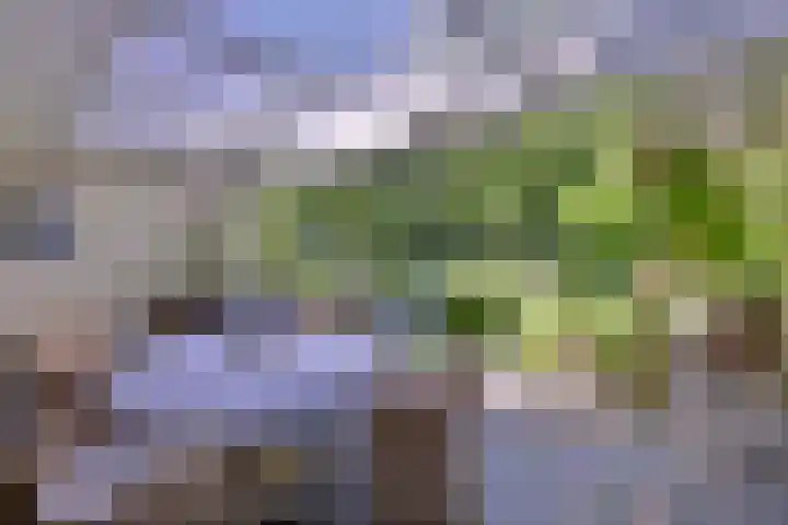 Bosweg 3 Epse thumbnail 39